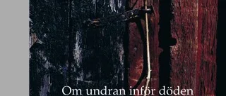 Tröstlöst om döden