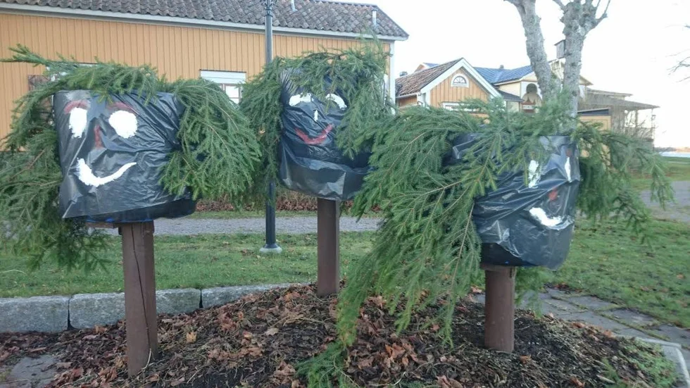 Urnor i vinterskrud. Tekniska förvaltningens parkpersonal har klätt om blomlådorna i Societetsparken i Öregrund.
