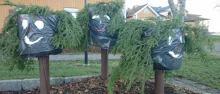 Park i ny vinterskrud