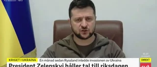 Zelenskyj: ”Skulle kunna täcka upp för ytterligare anfall i Östersjön” • Varnade för ryska planer – nämnde Gotland