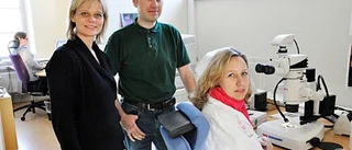 Försiktigt lättnad på Kustlaboratoriet