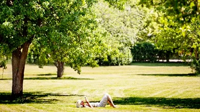 Seminarieparken