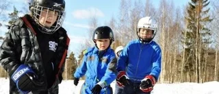 Vinter-VM på Kristinelunds fritids