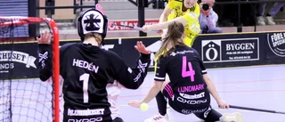 ”Vilken alldeles underbar slutspelsmatch – bara att ställa sig upp och tacka för showen”