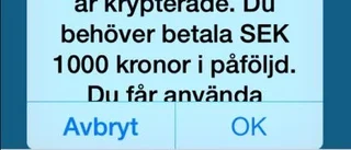 Bluff-sms från polisen anklagade Linda för barnporrbrott