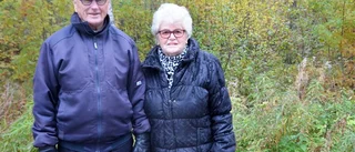 Tät skog skymmer sikten