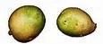 Grön potatis kan skada hälsan