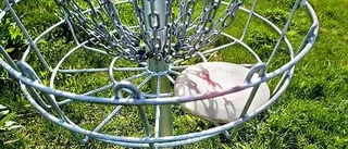 Discgolfbana invigs i Sunnersta
