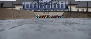 Med missnöjesröster kan demokratier demoleras
