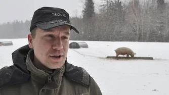 Peter Sahlin vill skjuta vildsvin med mörkersikte.