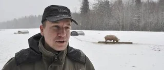 Grisbonde vill bekämpa vildsvin