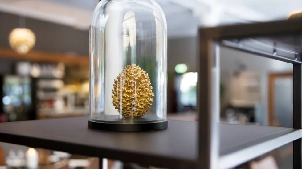 Inredaren Catharina Stålnacke plockar verktyg från feng shui och låter till exempel naturens färger gå igen i inredningen, som på Restaurang Tallkotten där hon tog fram de rätta kottefärgerna.