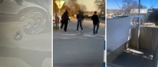 Ungdomar attackerade bil och bostad i Ljungsbro
