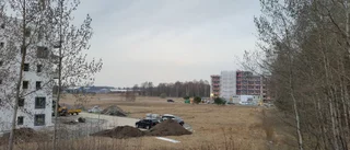 Nytt försök med trygghetsboende