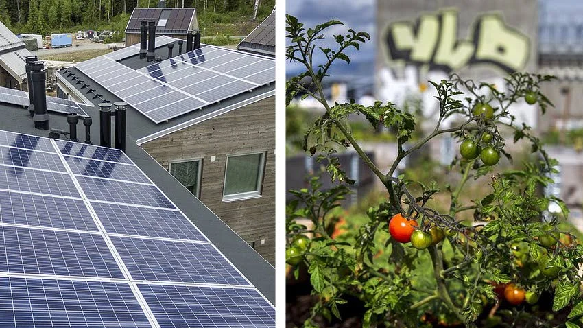 Egen energi- och mattillgång. Det är framtiden, enligt rapporten.