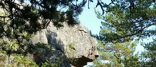 Skärgårdstur med strandhugg