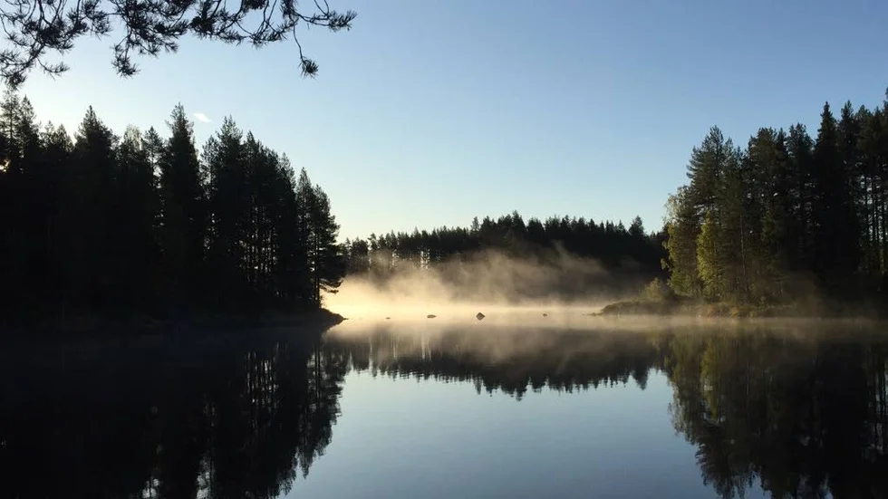 Morgonstund. En tidig morgon, strax efter klockan 7, tog Carin Eriksson den här
rofyllda bilden i Södra Rensundet, Niemisel.