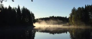 Läsarbilden