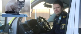 Inget brott om katten biter någon