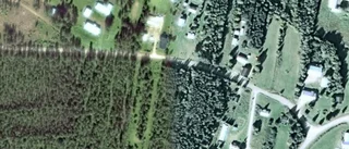 50-åring ny ägare till stuga i Pajala - 274 000 kronor blev priset