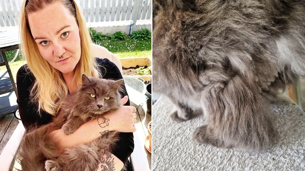 Josefin Asplund med sin mammas katt som har kommit hem med delar av pälsen bortrakad vid två tillfällen på kort tid.
