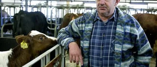 Mjölkbönder kritiserar Arla