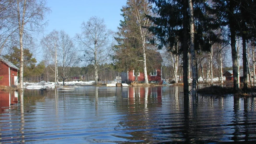 Så här brukar det se ut efter Torneälven vissa år.