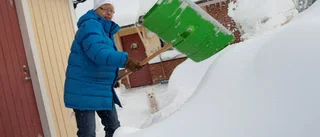 Så mycket ska det snöa framöver