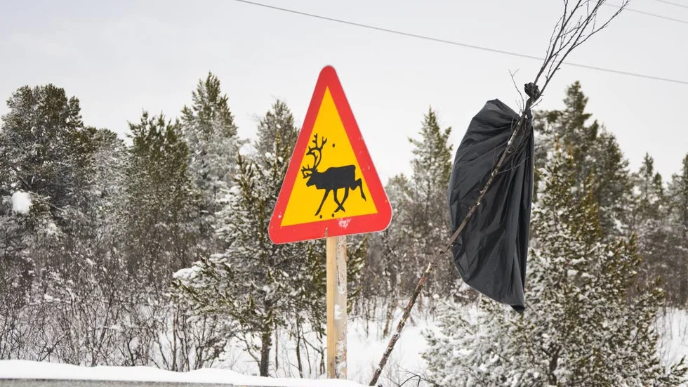 Två olyckor med renar inblandade hände söder om Gällivare på tisdagskvällen.