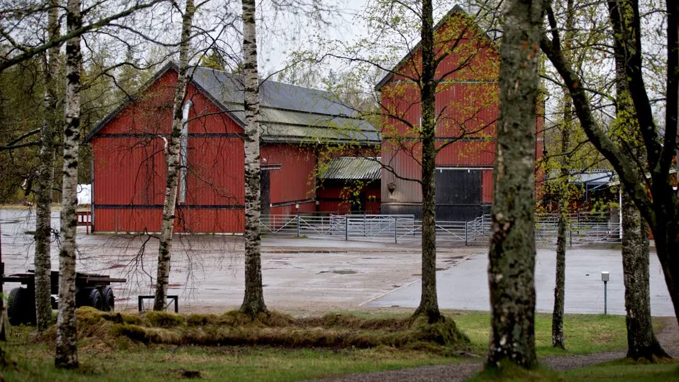 Brottsplats. Det är i varje fall vad som har påstås av både åklagare och offer. Men på torsdagen försattes den våldtäktsmisstänkte mannen på fri fot.