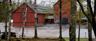 Misstänkt våldtäktsman försatt på fri fot