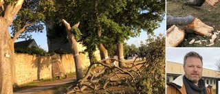 Stora träd vandaliserade längs strandpromenaden