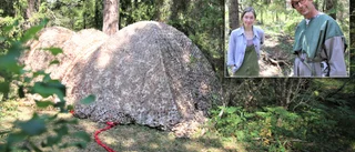 Här skruvar sig skogen in i känslor, fantasier och sinnen