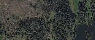 Tomt i Kinda kommun har fått nya ägare - priset: 265 000 kronor