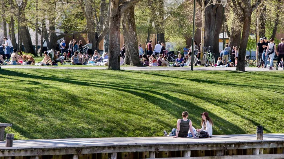 äntligen sommar i Uppsala: Stadsträdgården.
Foto : STAFFAN CLAESSON  20160505