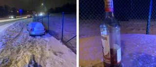 Körde i diket med 2,08 promille i blodet 