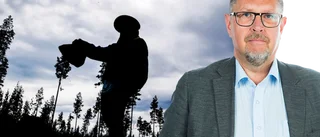 Det ska vara schyssta villkor för bärplockarna