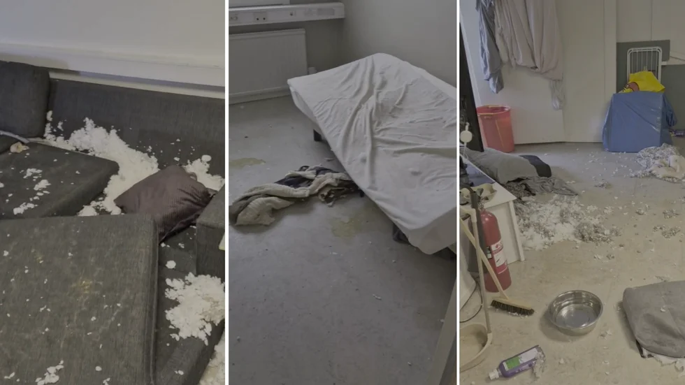 Bilder och filmer som personalen tagit visar urin på golvet och söndertuggade möbler i det utrymme där två hundar förvarats.