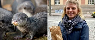 Jessicas oväntade möte på Norr: En vilsen utter