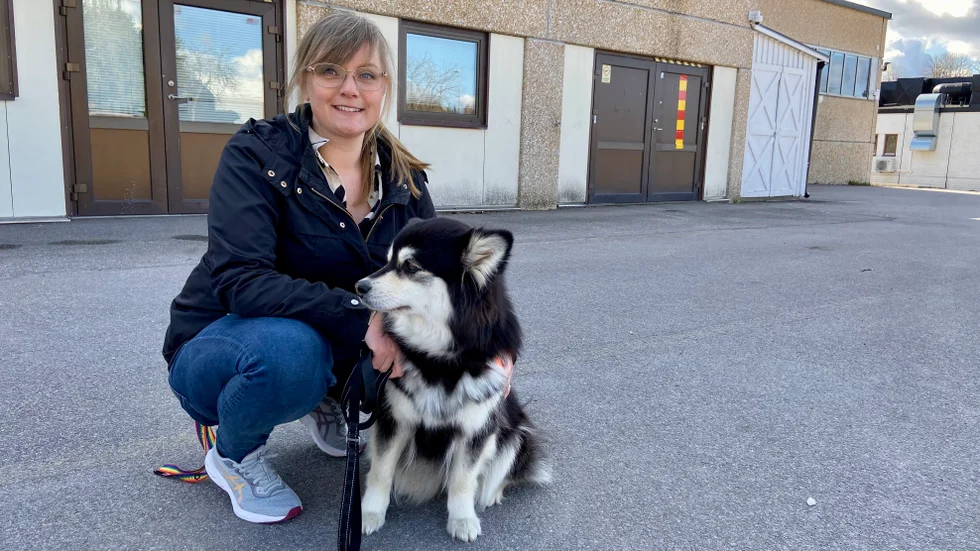 När läraren Jenny Larsson skaffade Aska hade hon redan en idé om att utbilda hunden till pedagoghund. Aska visade sig ha rätt personlighet för uppgiften och nu jobbar hon två dagar i veckan på skolan.