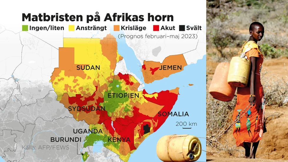 Över 20 miljoner människor riskerar att svälta och mer än 5 miljoner barn är akut undernärda på grund av torkan.