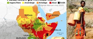 Klimatförändringar bakom torka på Afrikas horn