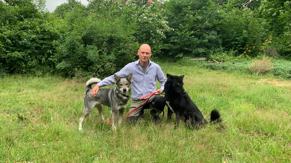 Hundarna Dexie och Aska är jägaren Mats Axelssons trognaste jaktkamrater. 