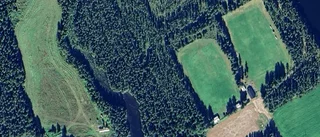 Lantbruksfastighet i Harads såld för 400 000 kronor