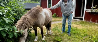Jannes "gräsklippare" heter Jum-Jum: "De får äta allt"