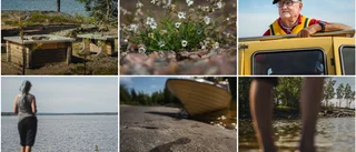 Inre Mörögrund gömmer en lagun