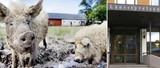 Grisar saknade både dricksvatten och päls