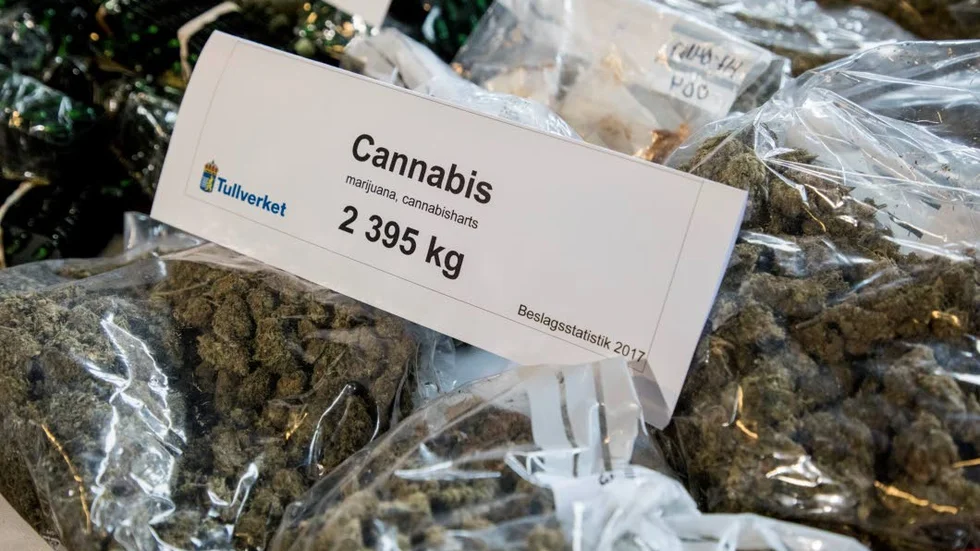 Den typ av cannabis som åtalet gäller. Bilden är en arkivbild på Tullverkets beslag och har ingenting med artikeln att göra.