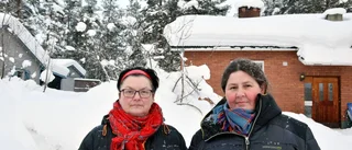 Höaktion kan rädda hungriga älgar