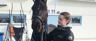 Österåkershästen vinnare igen: "Roligaste segern"